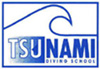 logo_tsunami